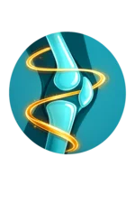 Bones & Joints